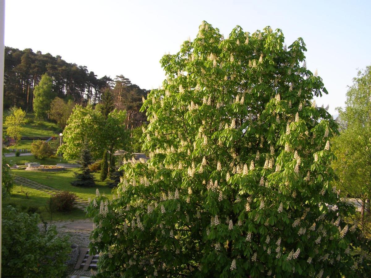 Belogradchik View Apartment Экстерьер фото